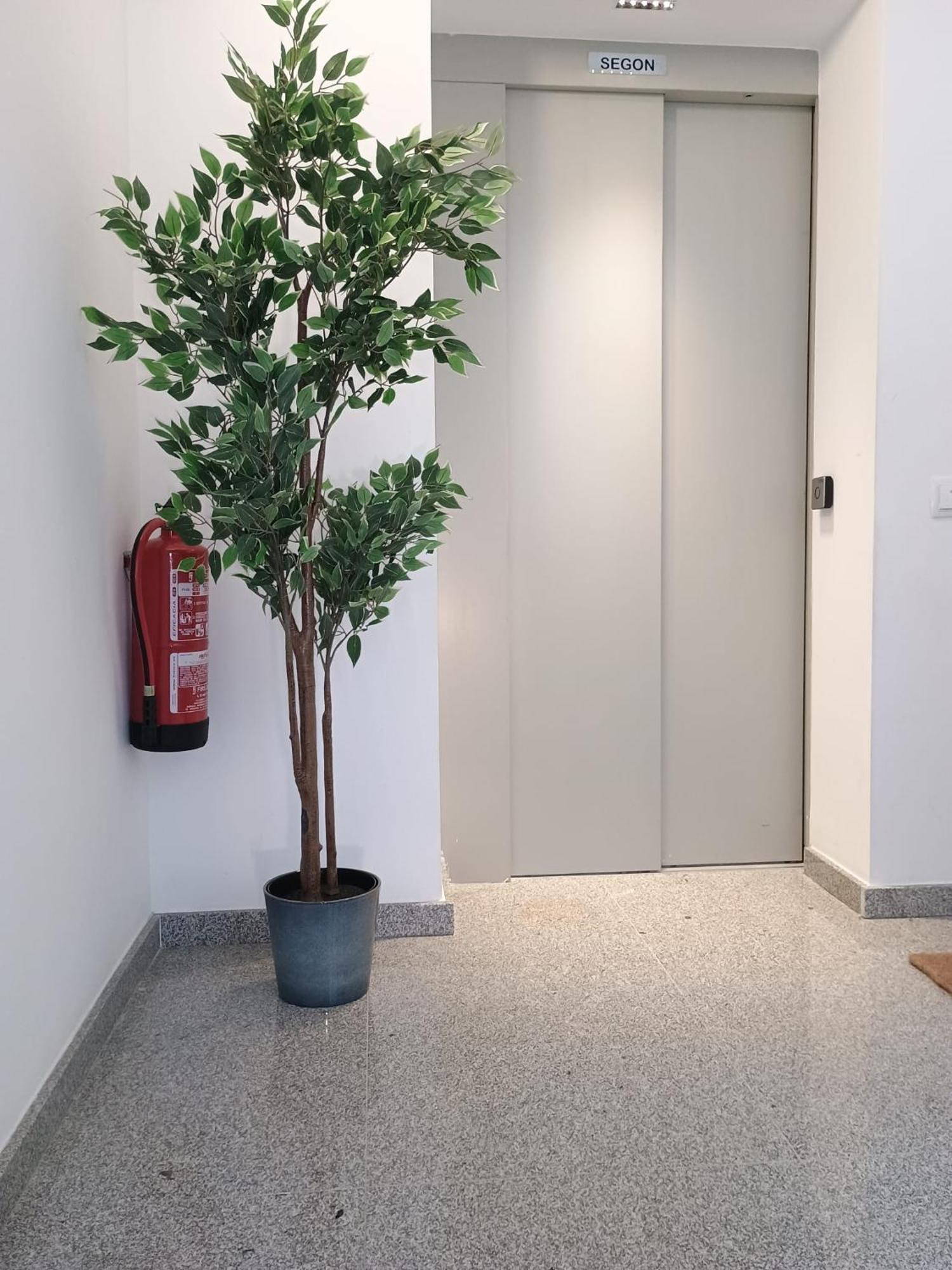 Centric Apartment Camp Nou 略夫雷加特河畔奥斯皮塔莱特 外观 照片